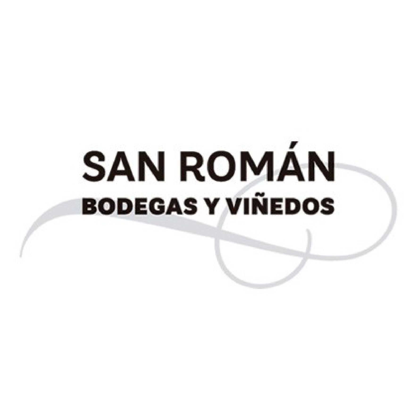 San Román_Mesa de trabajo 1